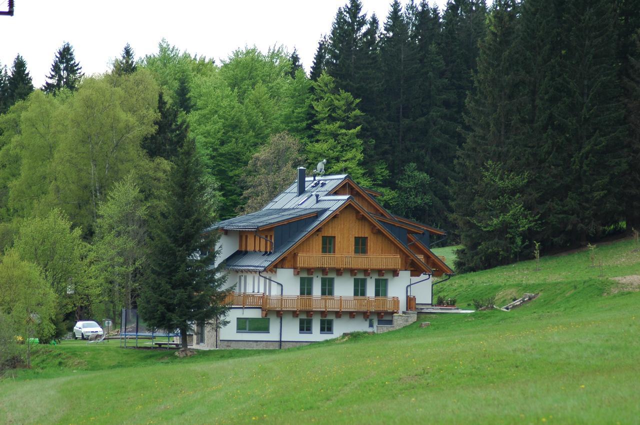 Pension Pamferka Železná Ruda Esterno foto